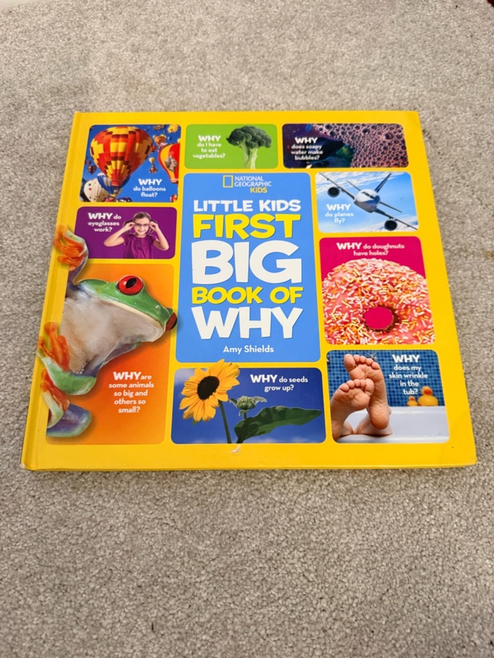 National Geographic Little Kids First Big Book of Why - Yellow